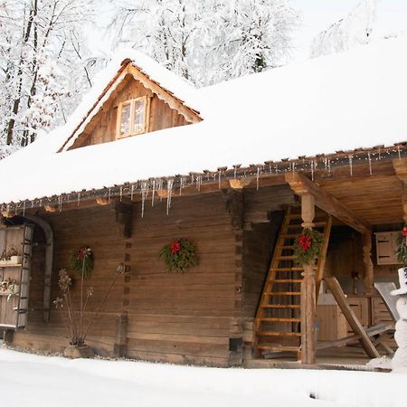 Apartma Kasca Domžale Exteriör bild