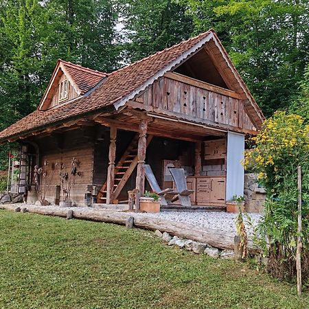 Apartma Kasca Domžale Exteriör bild