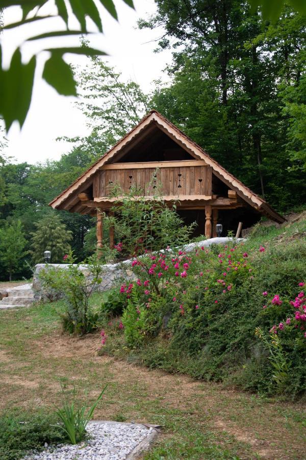 Apartma Kasca Domžale Exteriör bild