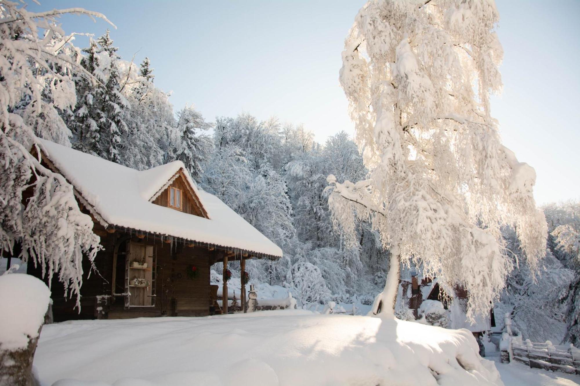 Apartma Kasca Domžale Exteriör bild